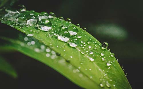 f3ab110932a6e4a1.jpg