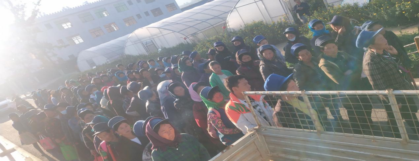 微信图片_20241204165657.png